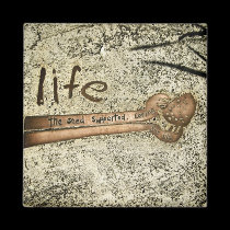 Life: the Seed Supported : Caring Magnet