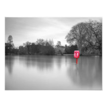 Lifebuoy in flooding waters photo print