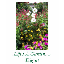 Life's A Garden....Dig it! t-shirts by uumpa74 Life's A Garden....Dig it! t-shirts