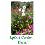 Life's A Garden....Dig it! t-shirts