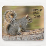 Life's an Uphill Climb Use Pads