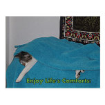 life's Comforts Postcard postcards