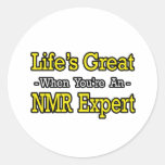 Life's Great...NMR Expert Sticker