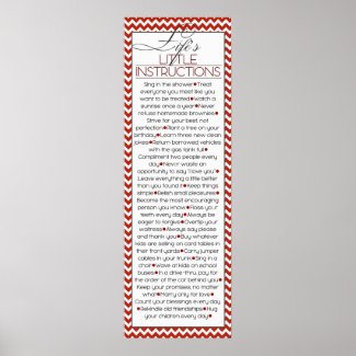 Lifes Little Instructions (red) Poster