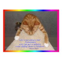 Life's Not Fair postcards