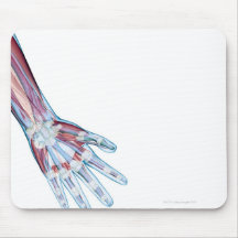 Ligaments in the Hand Mousepads