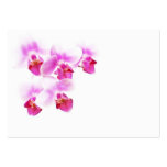 Light and Beauty Business Card Template