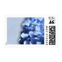 LIght and dark blue hydrangeas postage