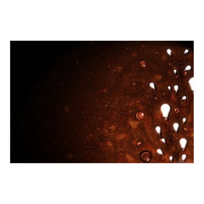 Light and Dark Posters by vladstudio