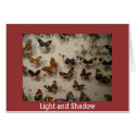 Light and Shadow cards
