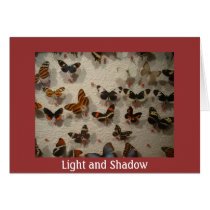 Light and Shadow cards by codfishlady Light and Shadow cards