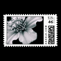Light and Shadow postage