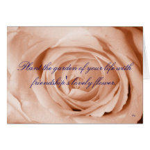 Light Apricot, Friendship Card