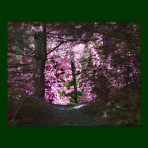 Light At End Of Path Nature Poster posters
