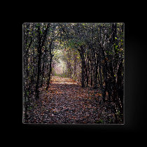 Light at the end of the Path buttons