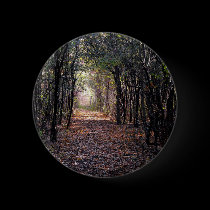 Light at the end of the Path buttons