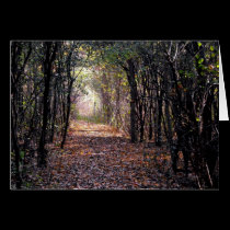 Light at the end of the Path cards