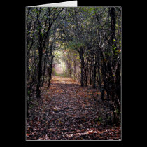 Light at the end of the Path cards
