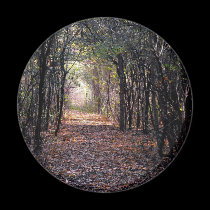 Light at the end of the Path magnets