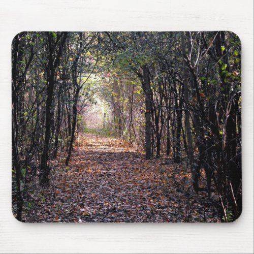 Light at the end of the Path mousepad