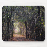 Light at the End of the Path mousepads