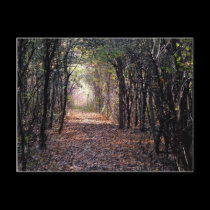 Light at the end of the Path postcards