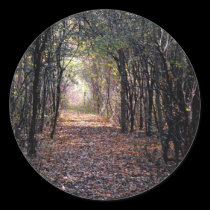 Light at the end of the Path stickers