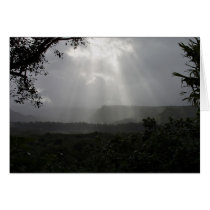 Light Beams cards
