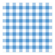 Light Blue and White Gingham Pattern posters