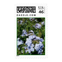 Light Blue Flowers postage