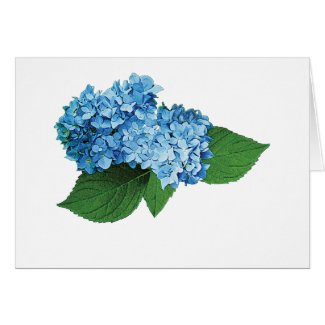 Light Blue Hydrangea card