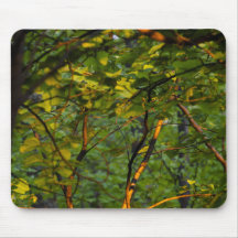 light-branches-leaves-2012-03-30 mouse pads