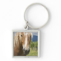Light Brown Horse Key Chains