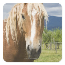 Light Brown Horse Sticker