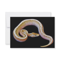 Light Colored Ball Python Personalized Invite