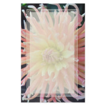 Light Dahlia Blank Stationery