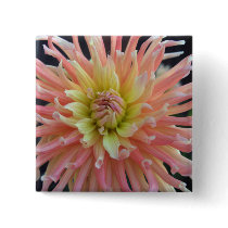 Light Dahlia Buttons