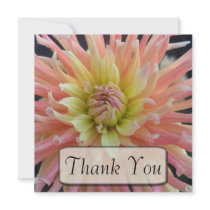 Light Dahlia Thank You Cards Personalized Announcements