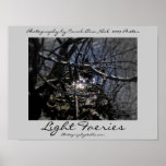 Light Faeries Poster 2009