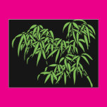 Light Green Bamboo Leaves on Black Post Card