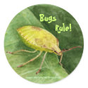 Light Green Stink Bug sticker