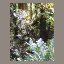 Light in My Forest # 4 posters by dlmtleArt Light in My Forest # 4 posters