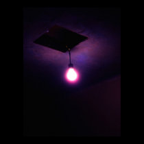 "Light in the Darkness" Gloss Print Poster by amphotographystudio "Light in the Darkness" Gloss Print Poster
