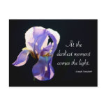 Light In The Darkness Iris Photography & Quote Postcards