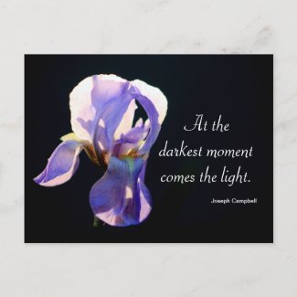 Light In The Darkness Iris Photography & Quote zazzle_postcard