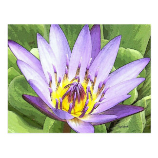 The Heart Lotus Postcards | Zazzle