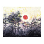 LIGHT IN THE MIST by CR SINCLAIR posters