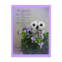 Light In The Soul postcards