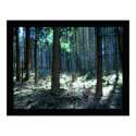Light-inspiration I posters by photomorgana Light-inspiration I posters