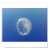 scuba, diving, hammerhead, photo
